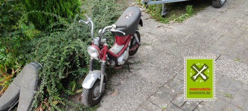 IMG_20230822_183024